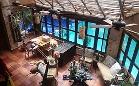 Jungle Lodge Cancun Aeropuerto