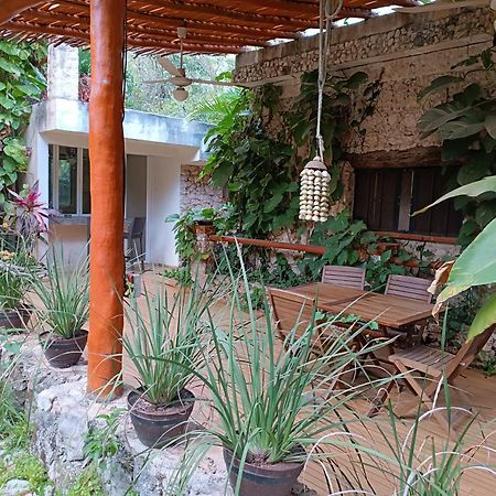 Jungle Lodge Cancun Aeropuerto Exterior photo