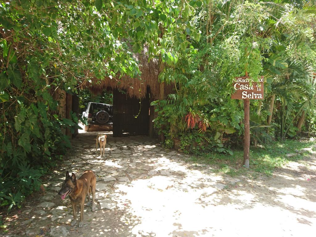 Jungle Lodge Cancun Aeropuerto Exterior photo